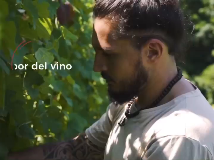 Video post from purethewineryes.