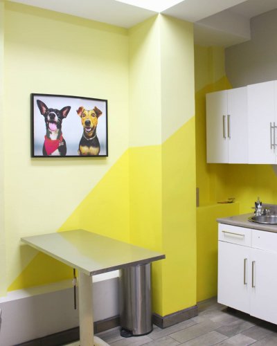 Photo post from medicalpettj.