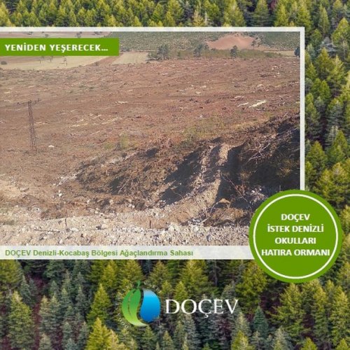 Photo post from dogavecevrevakfi.
