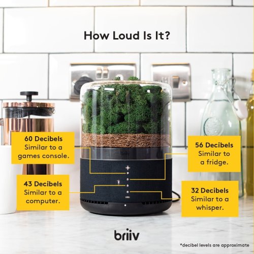 Photo post from briiv.natural.