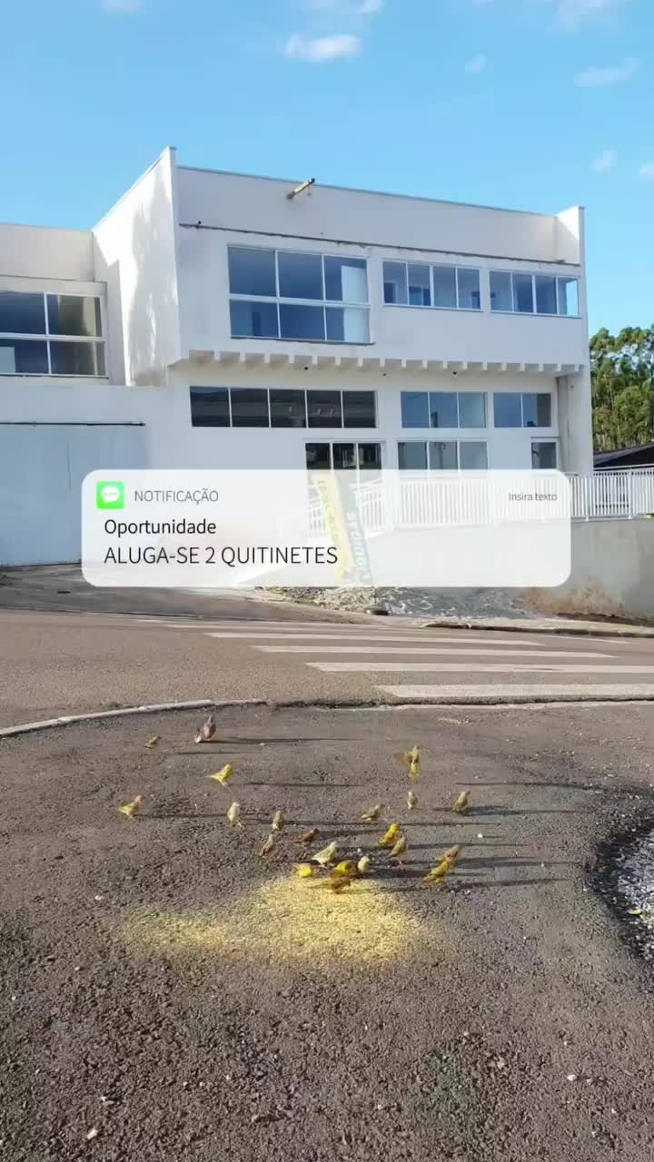 Video post from imobiliariammocelin.