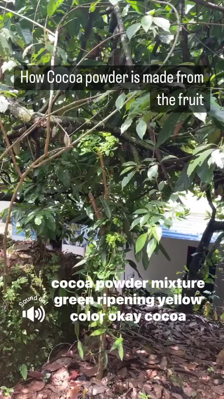 Video post from purkinje_crazyforplants.