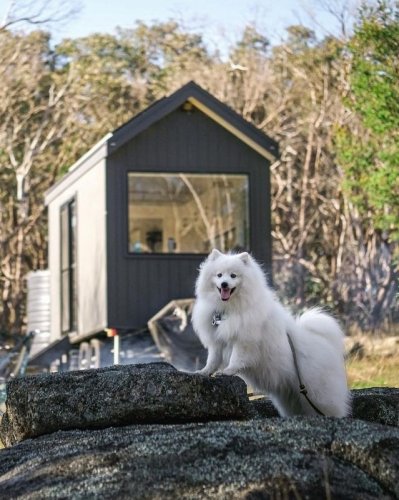 Photo post from in2thewild.aus.