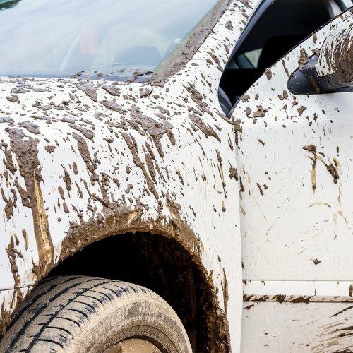 Photo post from festival_mall.