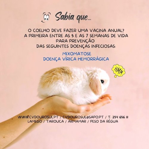 Photo post from clinica_veterinaria_dourosul.