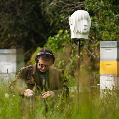 Carousel post from comvita_au.