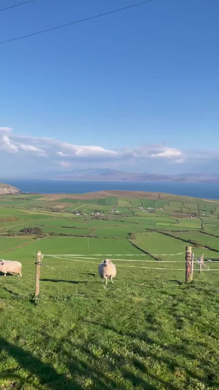 Video post from myirelandbox.