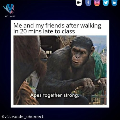 Photo post from vitrendz_chennai.