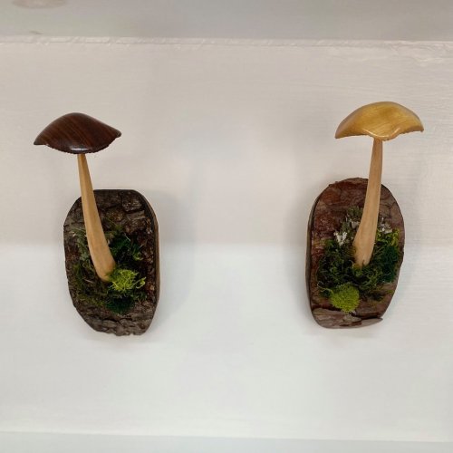 Carousel post from freyaetthor.