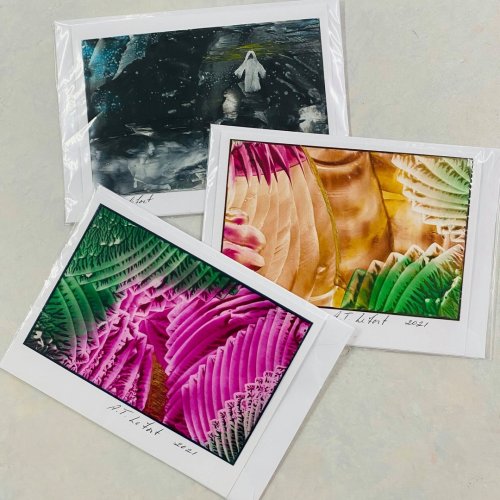 Photo post from freyaetthor.