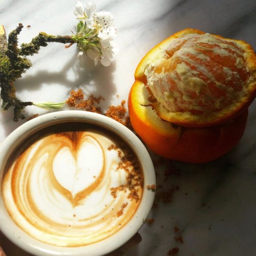 Photo post from equianocoffee.