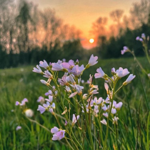 Photo post from visitoirschot.