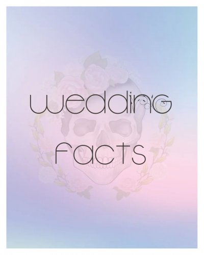 Carousel post from prettyandpunkweddings.