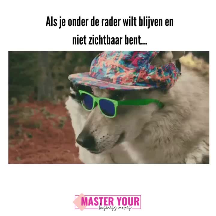 Video post from masteryourbusinessmoves.nl.