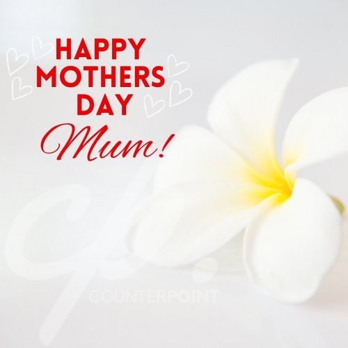 Photo post from counterpoint_digital.