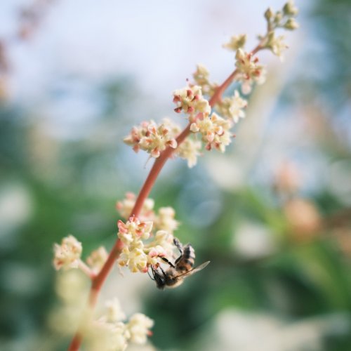 Carousel post from ricardo_ch.fr.