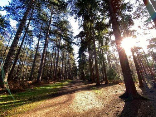 Photo post from saltfilm_locations.