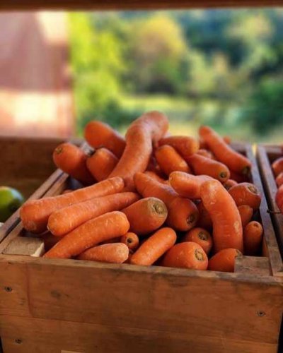 Photo post from currumbinvalleyharvest.