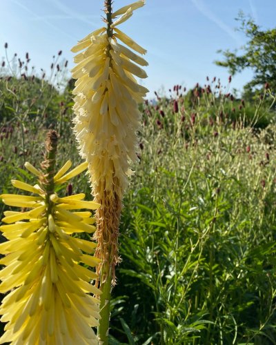 Photo post from sussexprairies.