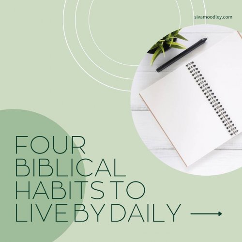 Carousel post from drsivamm.