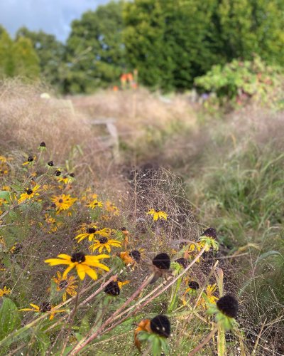 Photo post from sussexprairies.