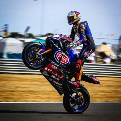 Pro Bolt Professional Motorcycle Bolts And Fasteners