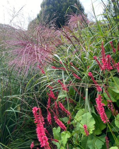 Photo post from sussexprairies.