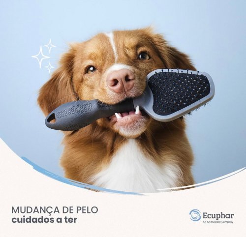 Photo post from clinica_veterinaria_dourosul.
