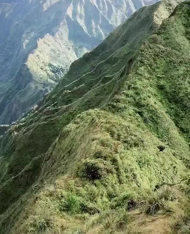 Video post from kupunacarehawaii.