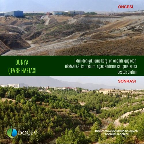 Photo post from dogavecevrevakfi.