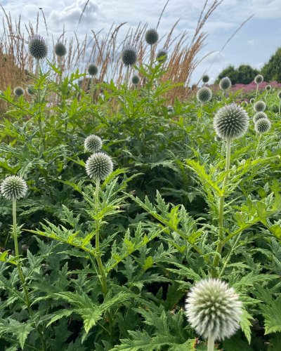 Photo post from sussexprairies.