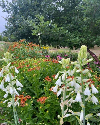 Photo post from sussexprairies.