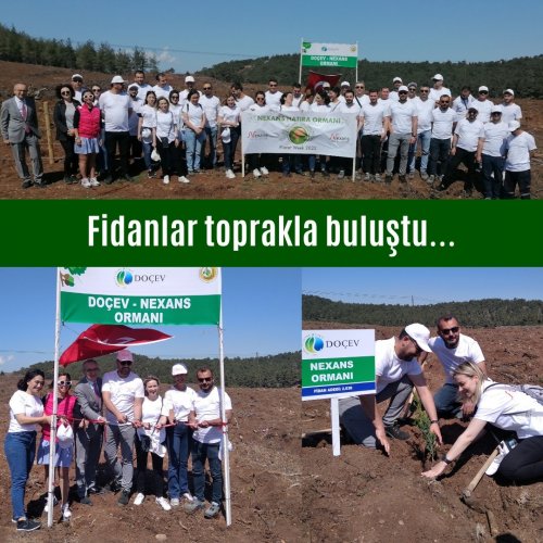 Photo post from dogavecevrevakfi.