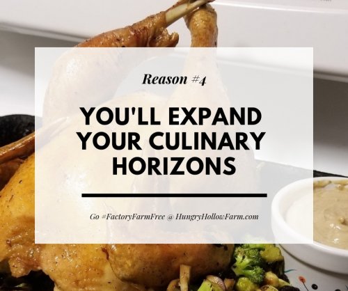 Photo post from hungryhollowfarm.