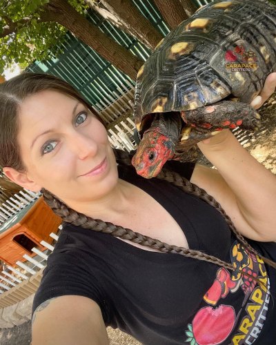 Photo post from carapacecritters.