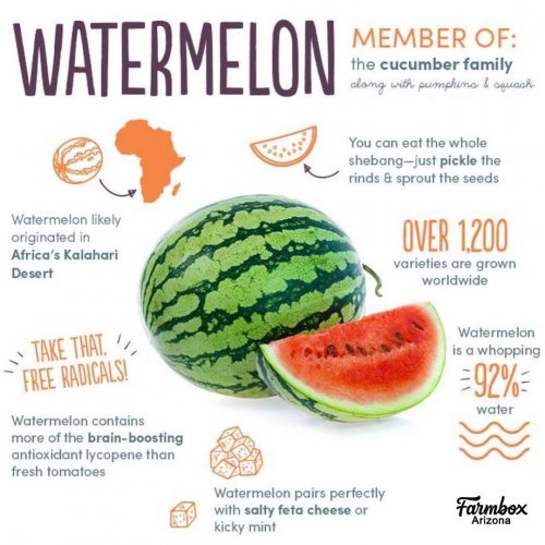 Photo post from farmbox_arizona.