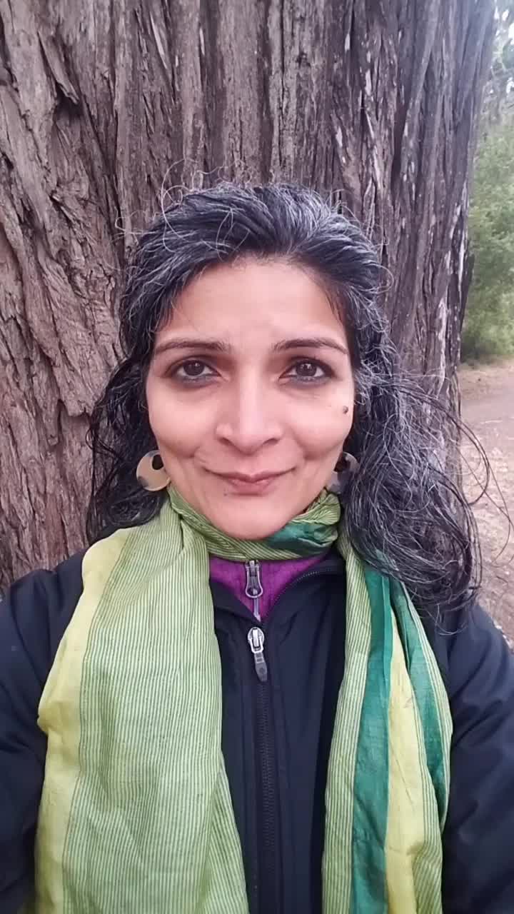 Video post from monica.mody.