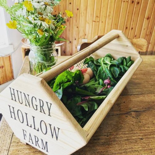 Photo post from hungryhollowfarm.