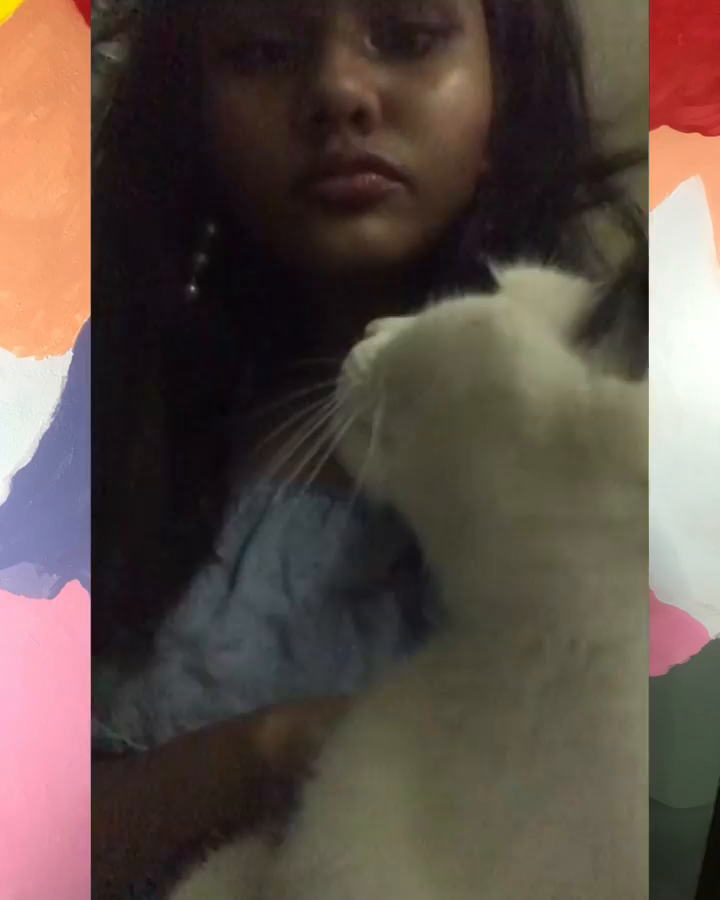 Video post from medha.bee.