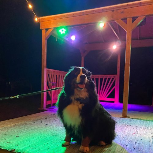Photo post from northlandbrew.