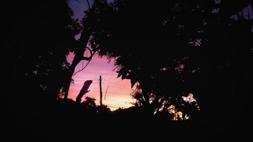 Photo post from jakbobby.