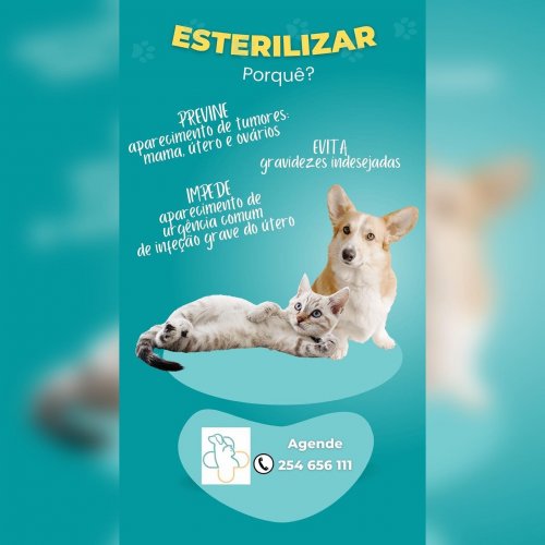 Photo post from clinica_veterinaria_dourosul.