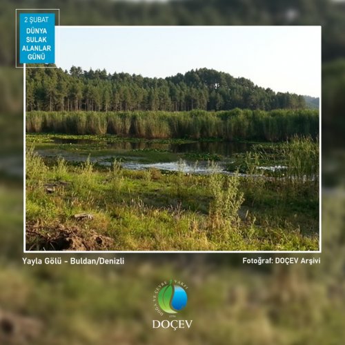 Photo post from dogavecevrevakfi.