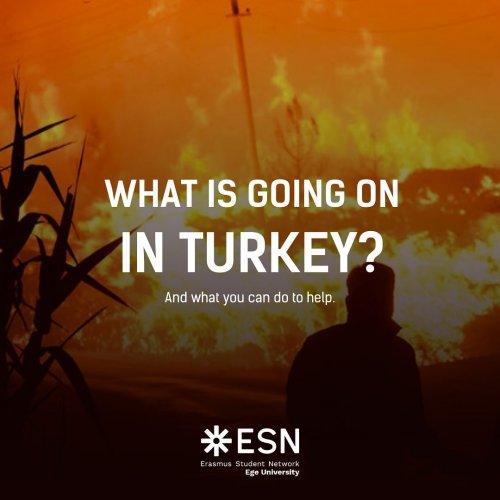 esn ege