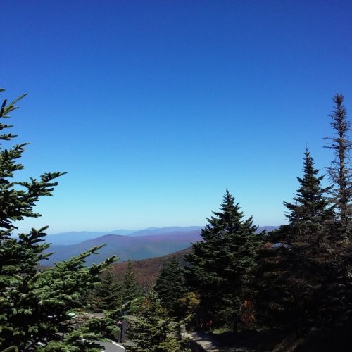 Photo post from hotelonnorth.