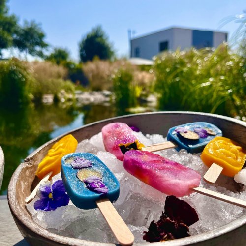 Photo post from glasshouseretreat.