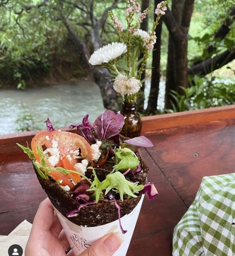 Photo post from currumbinvalleyharvest.