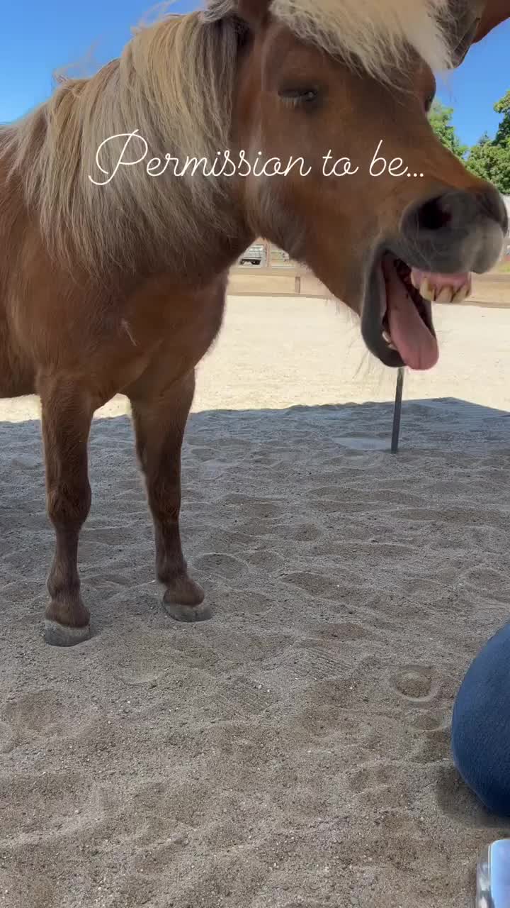 Video post from __amber_lydic__.