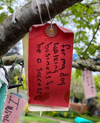 Photo post from travelportland.