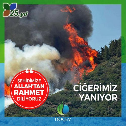 Photo post from dogavecevrevakfi.